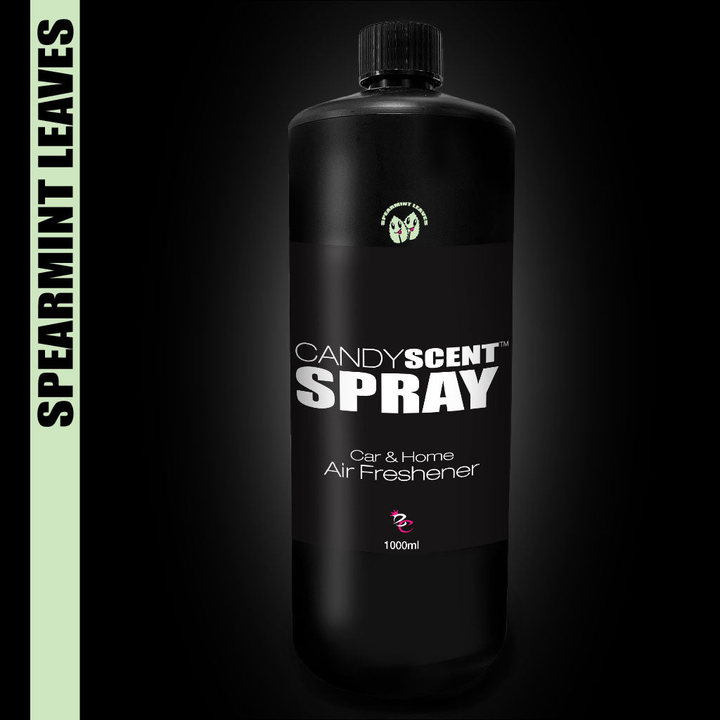 SPEARMINT LEAVES Car &amp; Home Scent Spray