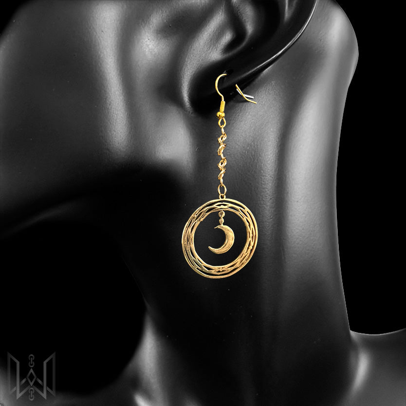 Earrings #1009