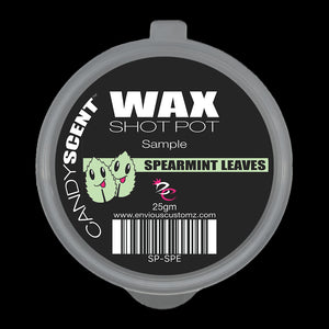 SPEARMINT LEAVES Soy Wax Melts