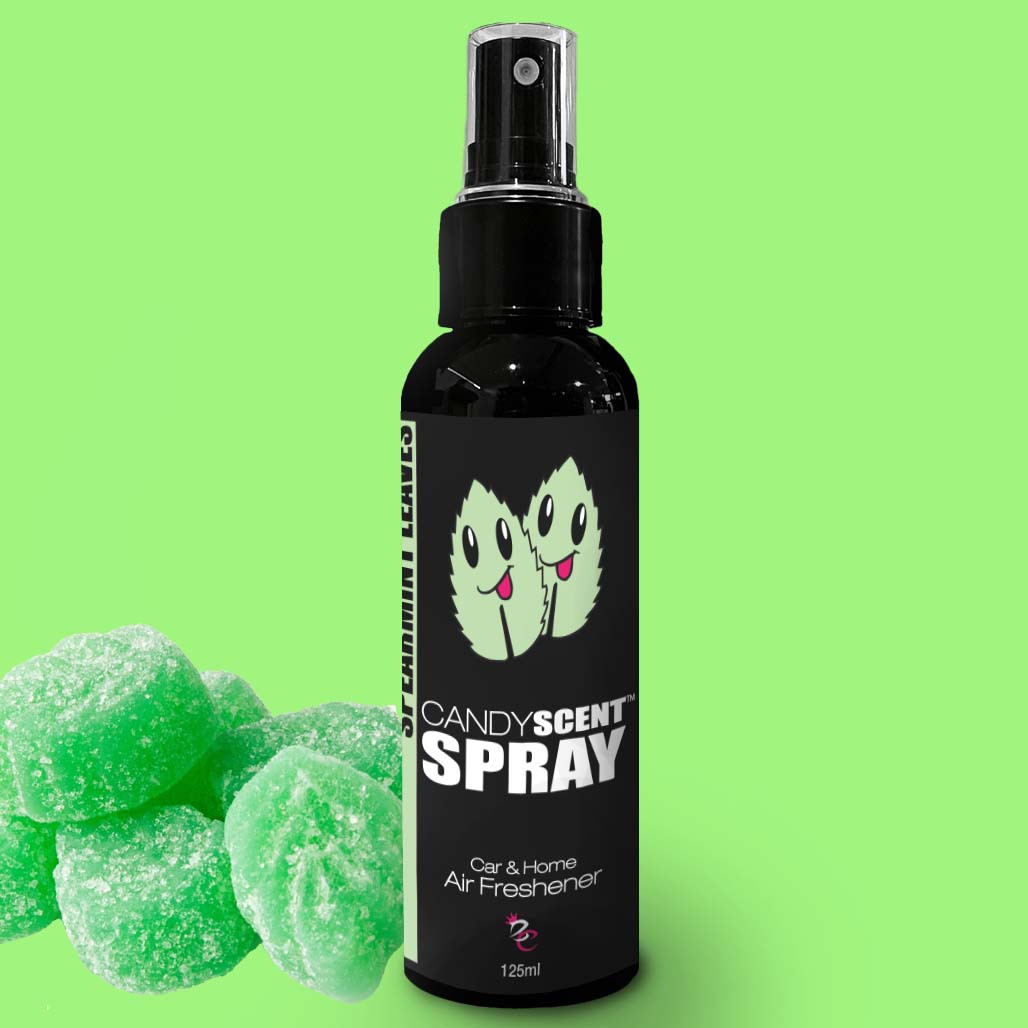SPEARMINT LEAVES Car &amp; Home Scent Spray